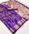 Katie Orgnaza By Rajtex Orgaza Fancy Saree